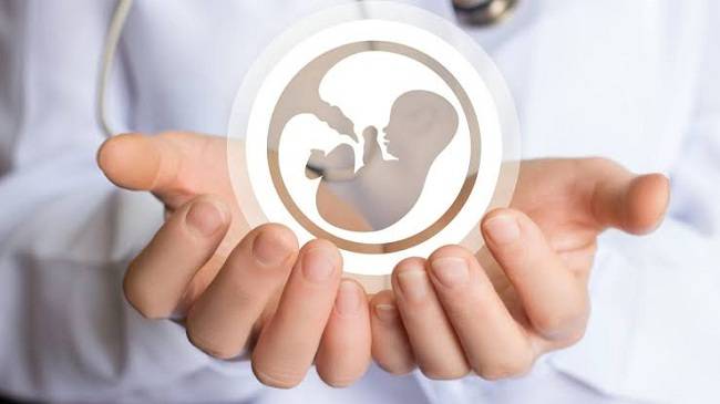 Top 10 Obstetrics & Gynecology Specialists at Nova IVF Clinic - Doctor Khulna