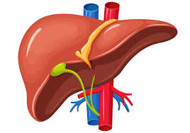 Top Liver Gastrology Specialist Banner Image